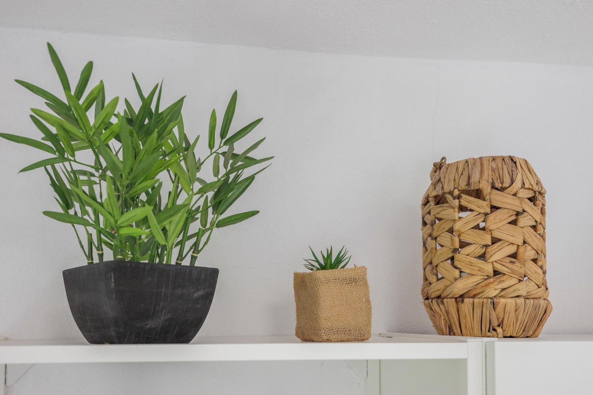 ラゴア Casa Jardim Oasis Bed & Breakfast エクステリア 写真
